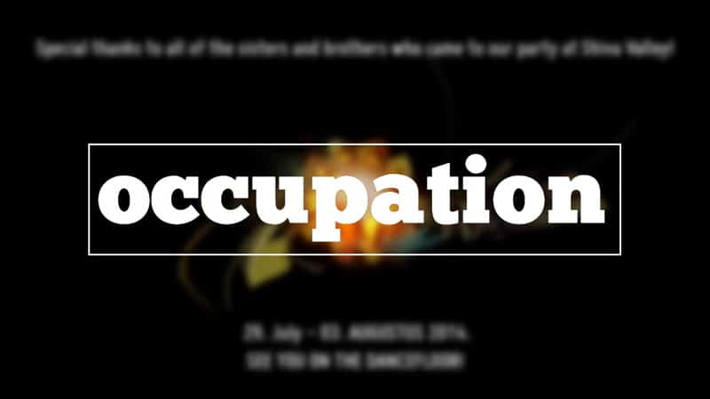 Meaning and Types of Occupation | Commerce
